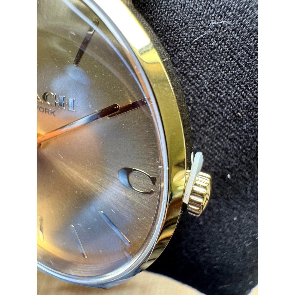 Coach Charles Gold Dial Watch with a Brown Leather Strap (Model 14602433)